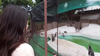 大黑屌健身教练在酒店和老婆打炮-老公在旁边观战