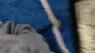 小魔王的逼逼~接受了小魔王的中出考验~水嫩逼逼闪着微光~