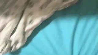 水水_摸奶自慰四月二号