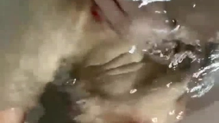 姑娘看来很熟悉 原来是美丽又奔放王琪 洗浴到口活原版流出 2